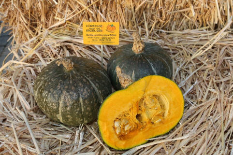 Delica Kürbis der Sorte Delica, dunkelgrün, 20 cm Durchmesser, flachrund. das halbierte Exemplar zeigt dunkeloranges dickes Fruchtfleisch