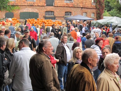 Viele Menschen bei einem Hoffest, viele Kürbisse im Hintergrund