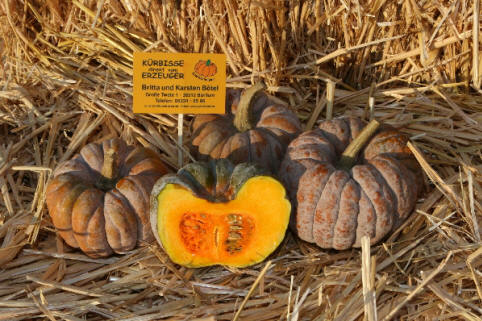 Hayato drei ganze, ein aufgeschnittener Kürbis, grau beige mit mehliger Patina, stark gerippt, rund, halbierter hat oranges dickes Fruchtfleisch
