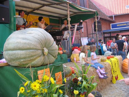 Muskiband auf einer Bühne, diese dekoriert mit Blumen und Kürbissen