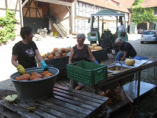 Kürbisse liegen in großen Wannen und werden gewaschen