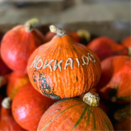 Hokkaido rot/ orange Kürbisse, einer ist beschriftet mit Hokkaido