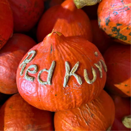 Red Kuri - Hokkaido rote Kürbisse, einer ist beschriftet mit Red Kuri
