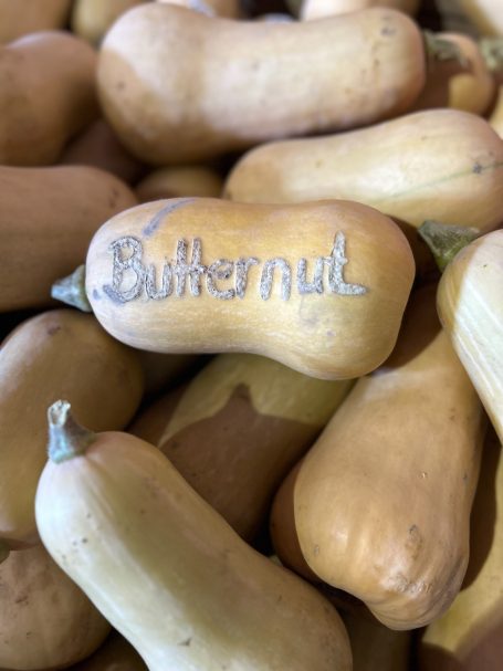 Emilly -Butternuss viele beige Butternuss-Kürbisse, einer trägt den Schriftzug Butternut
